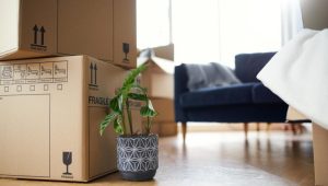 Packers and Movers Punjagutta