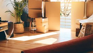Packers and Movers Charminar