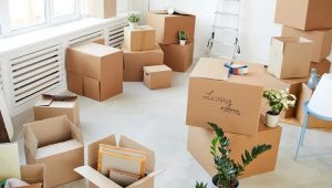Packers and Movers RTC X Roads
