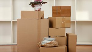 Packers and Movers Masab Tank
