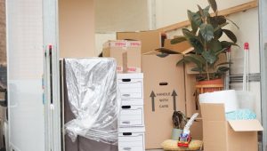 Packers and Movers Champapet