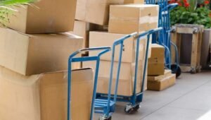 Packers and Movers Hafeezpet