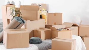 Packers and Movers Nampally
