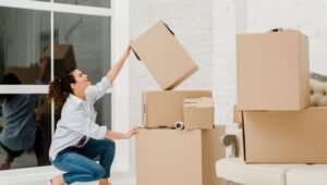 Packers and Movers LB Nagar